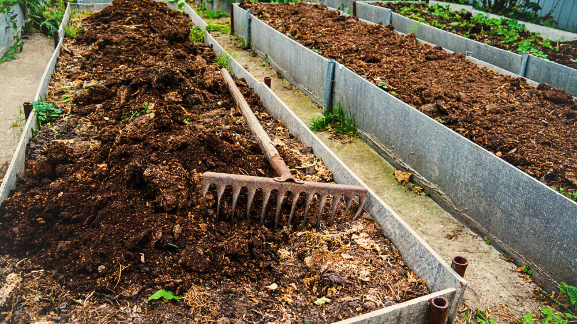 Soil Ingredients