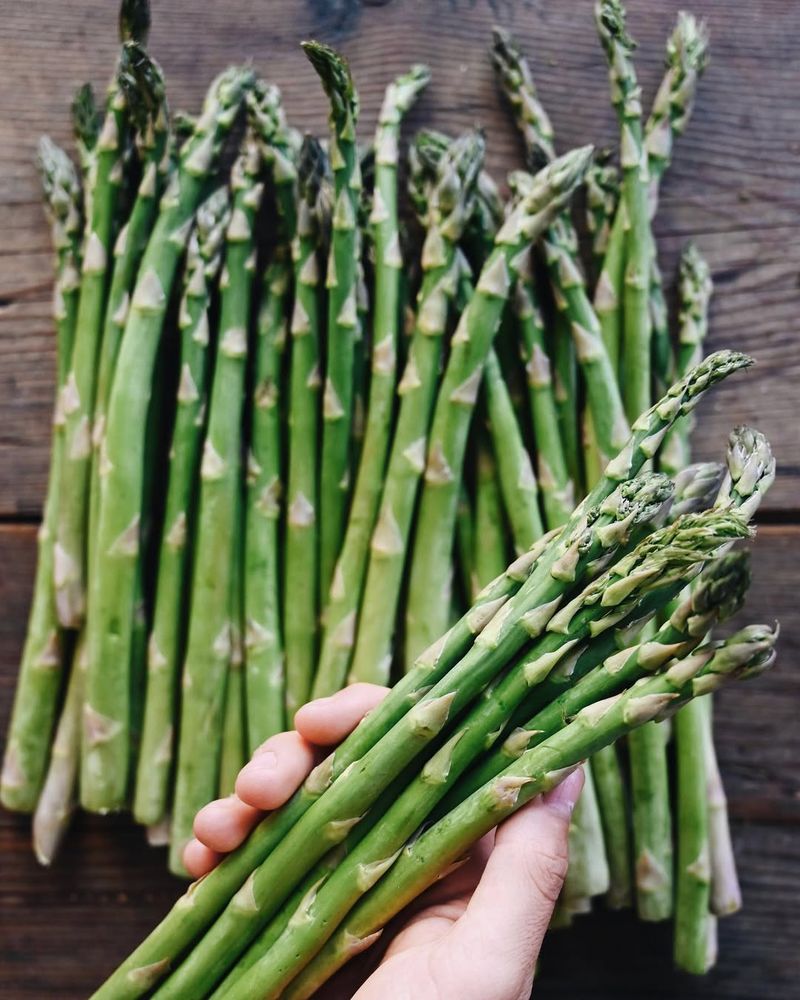 Asparagus (Don’t Thrive)