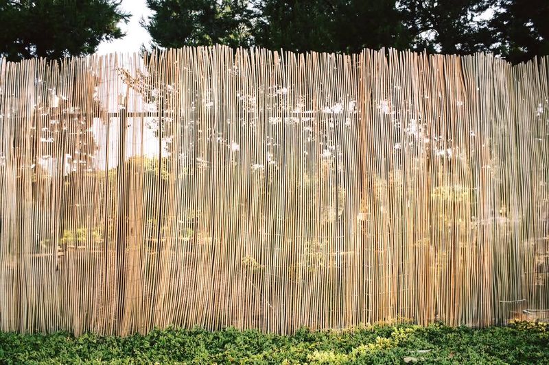 Bamboo Screens