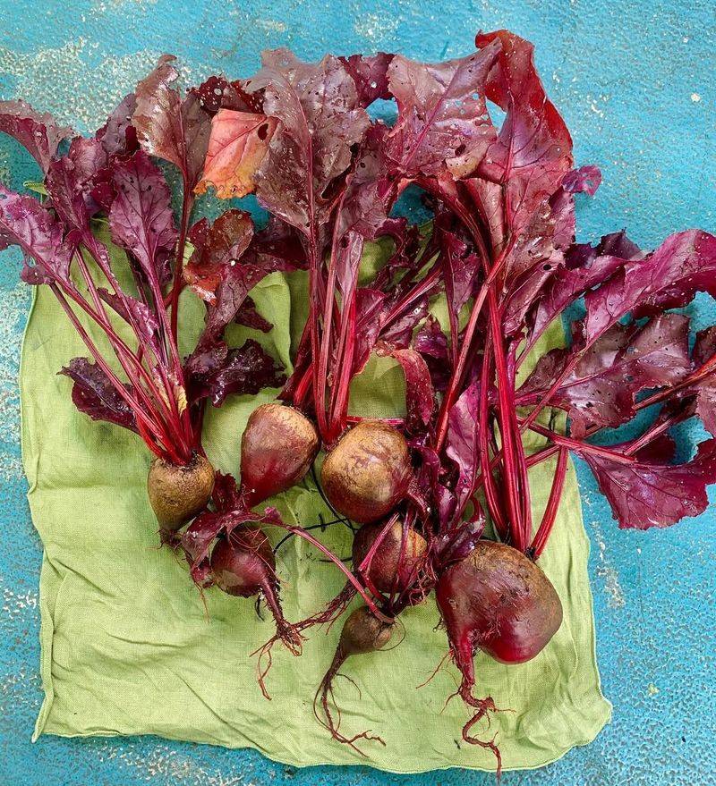 Beet Greens