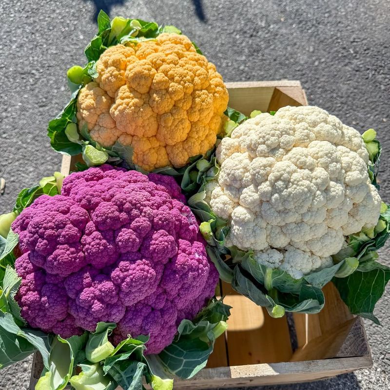 Cauliflower