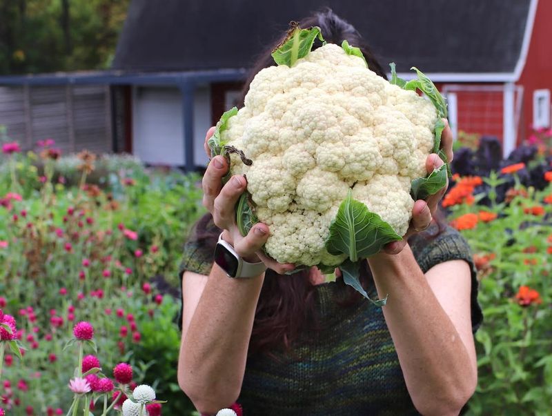 Cauliflower