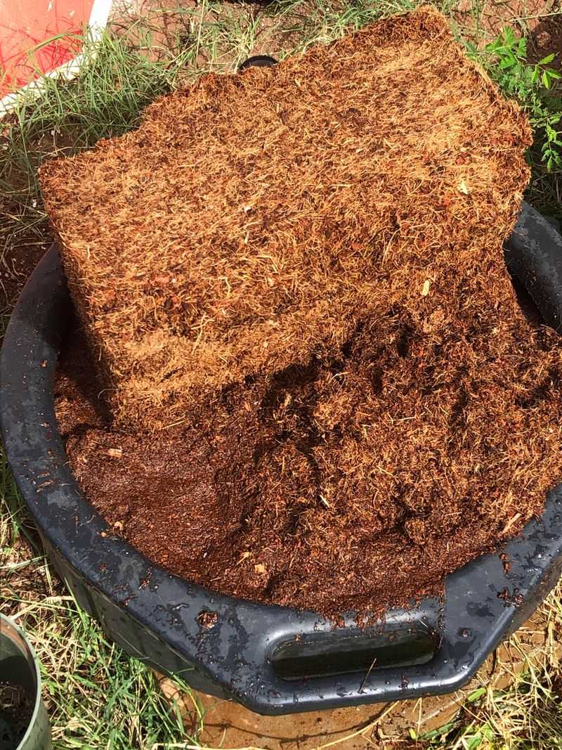 Coconut Coir