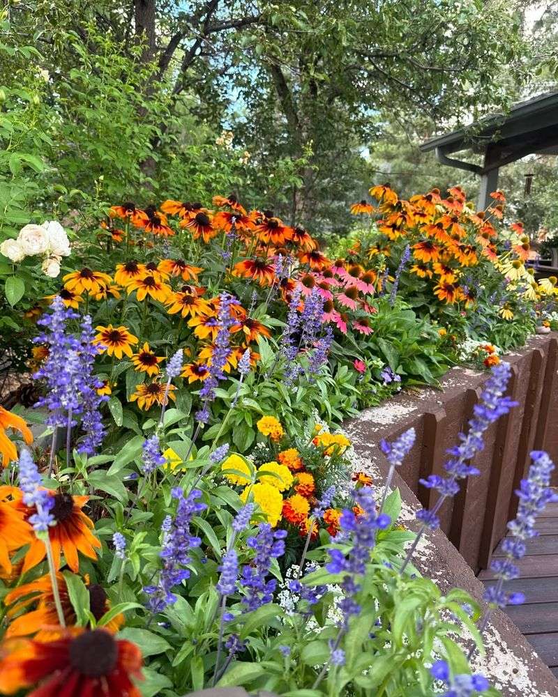 Colorful Flower Beds