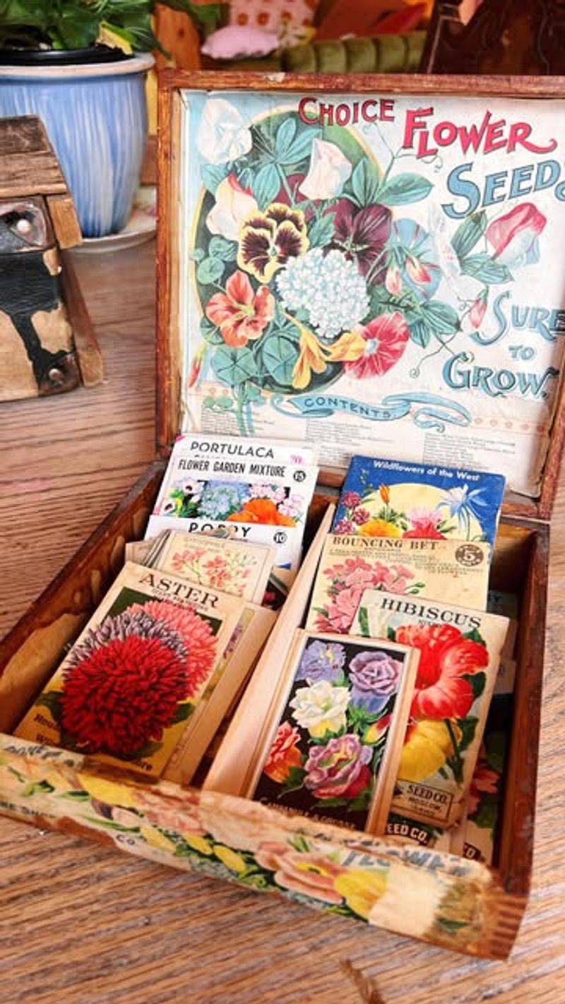 Colorful Seed Packets