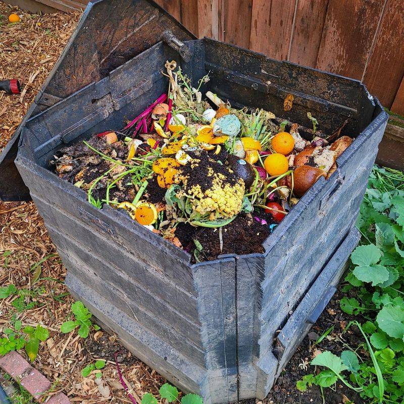 Compost