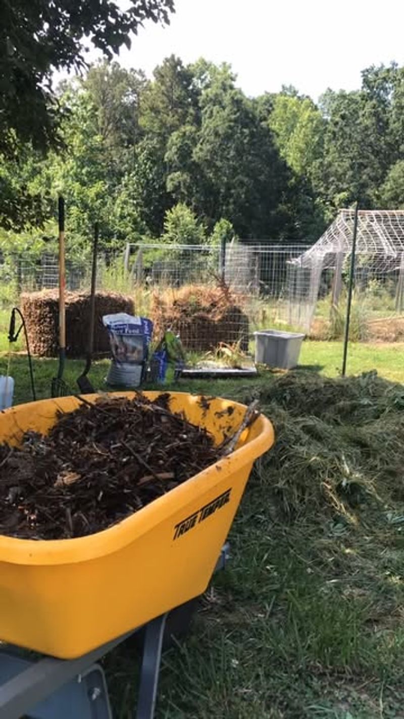 Composting Alchemy