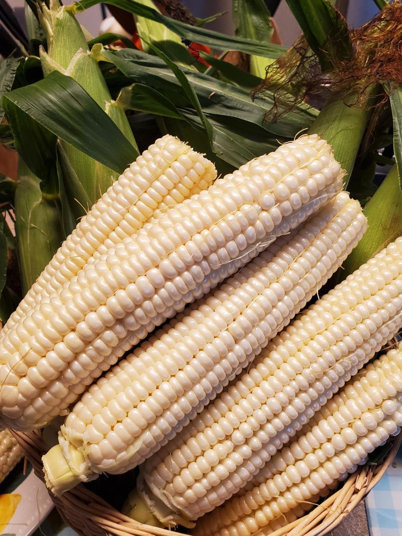 Corn