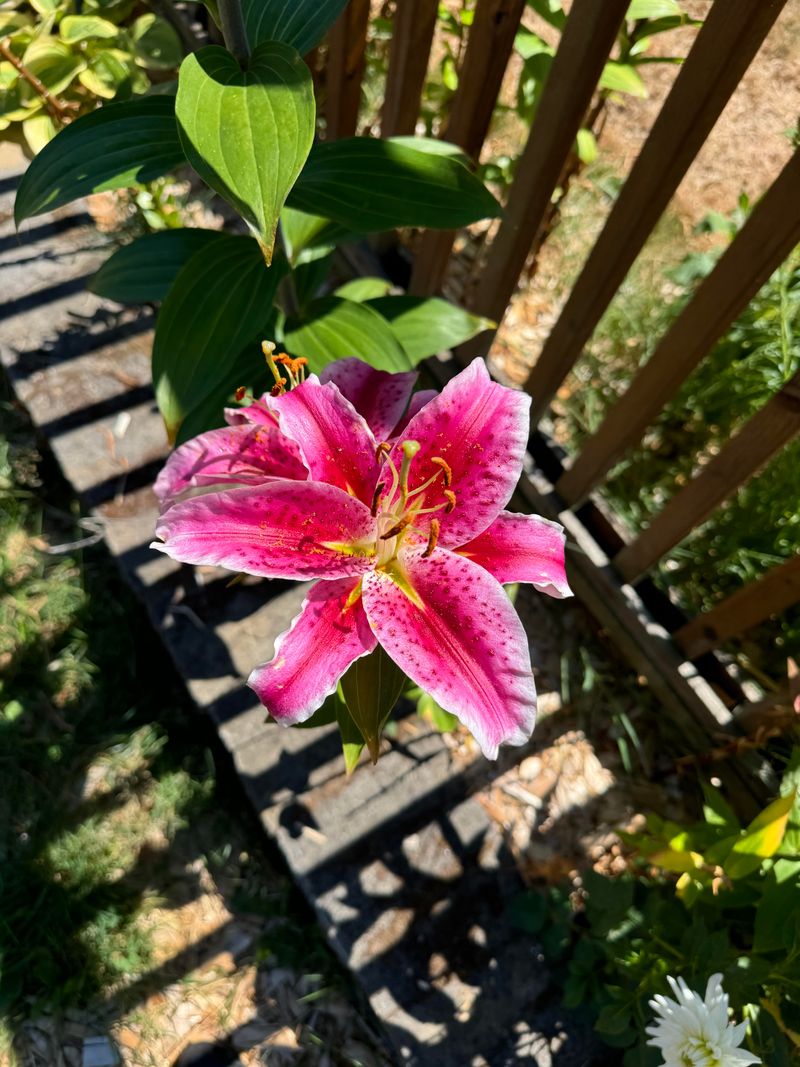 Neglecting Deadheading