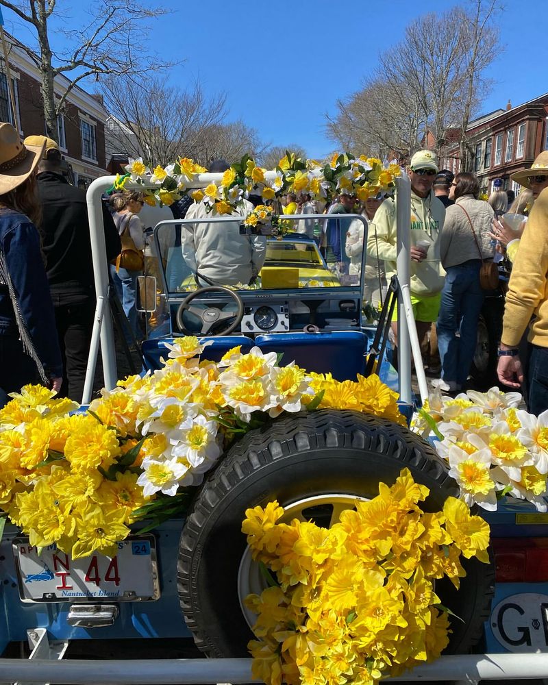 Daffodil Festivals