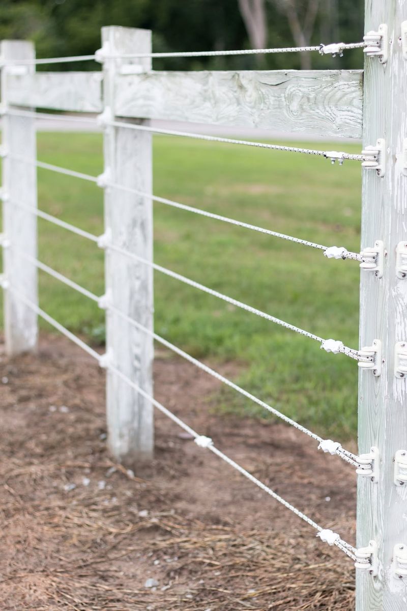 Electric Fence