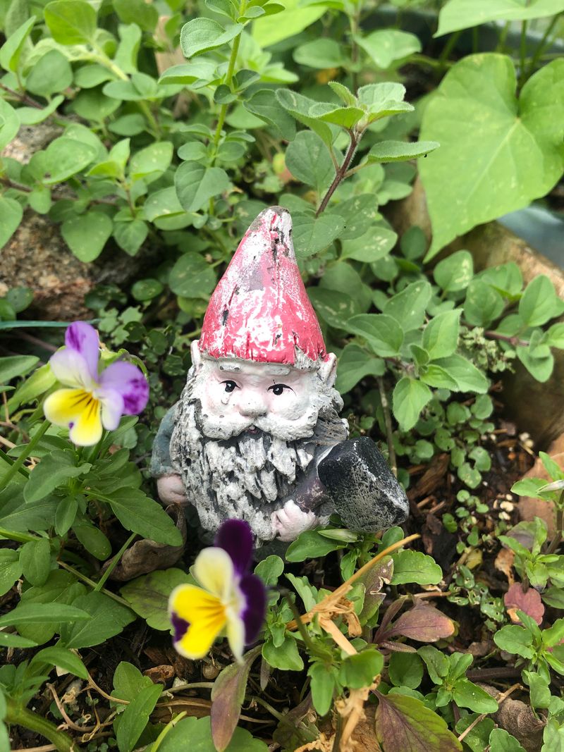 Garden Gnome Companions