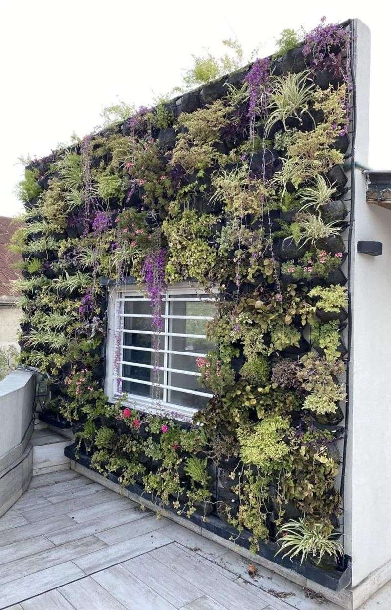 Living Walls