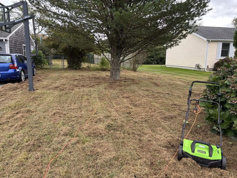 Gentle Raking