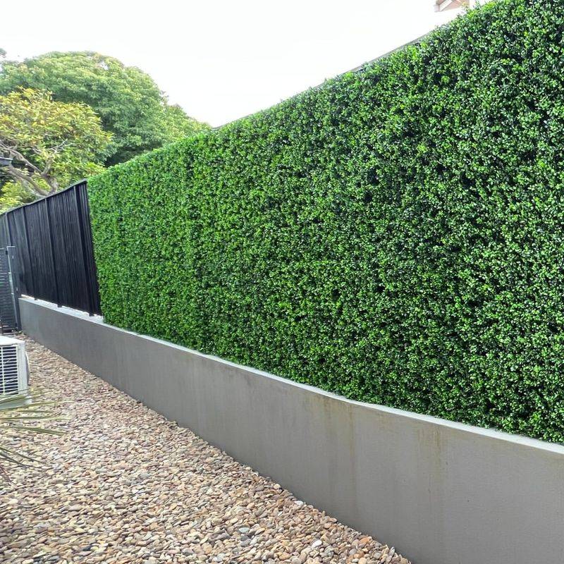 Hedge Fence