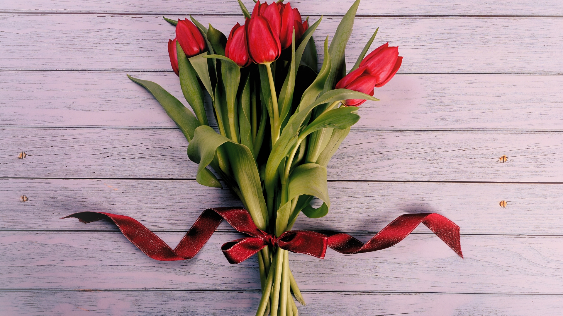 Red tulips bouquet on a blue wooden board. Valentine's Day, Woman's Day and Mother's Day concept. Spring tulips bouquet. copy space