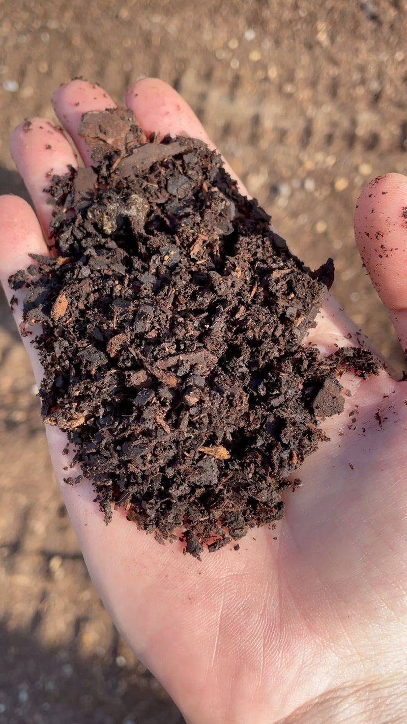 Ignoring Soil Quality