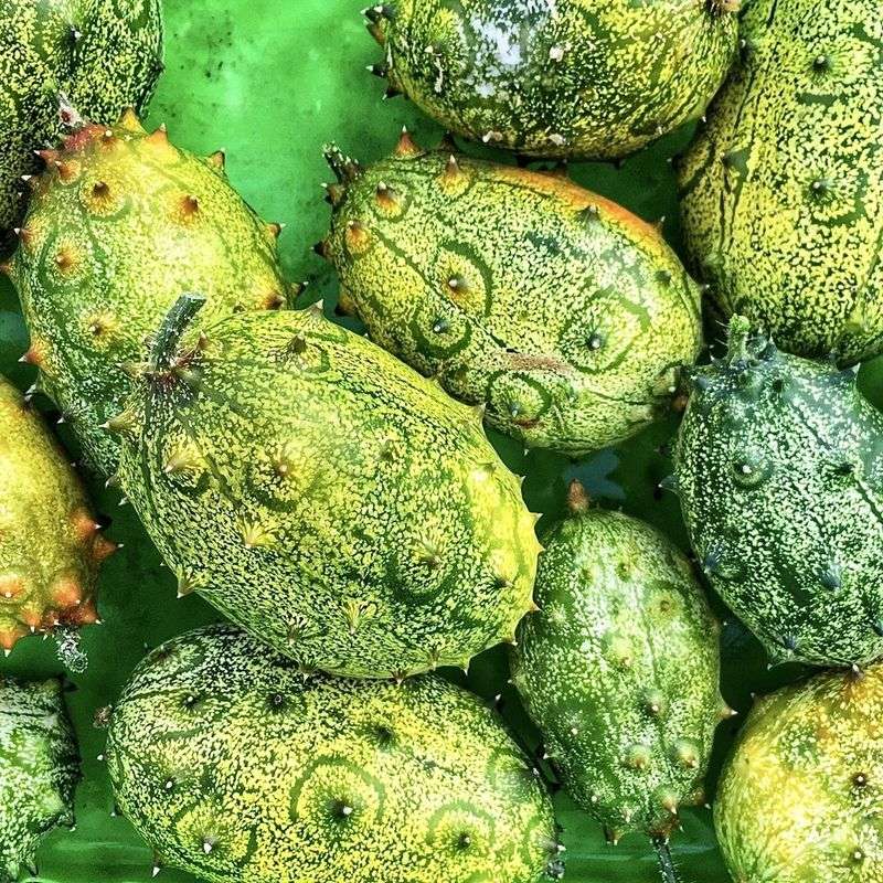 Kiwano (Horned Melon)