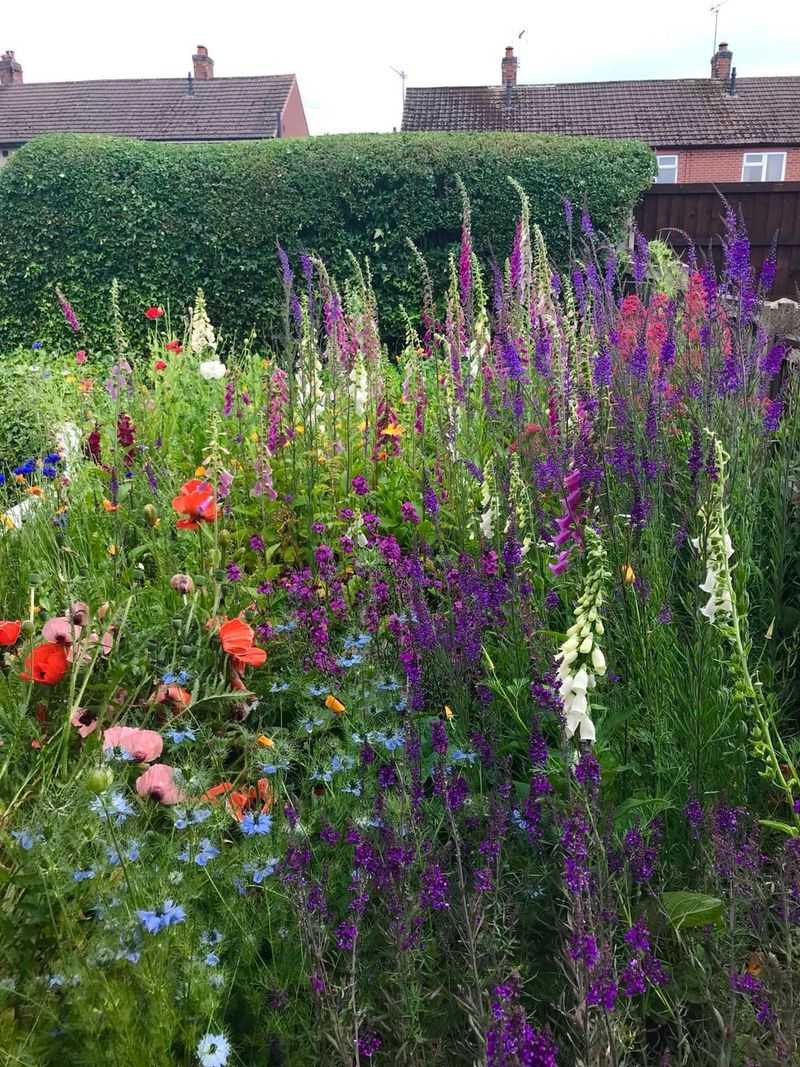 Create Wildflower Patches