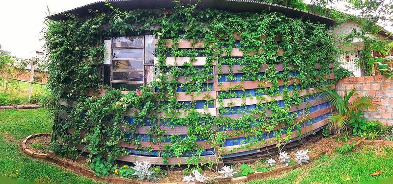 Living Green Walls