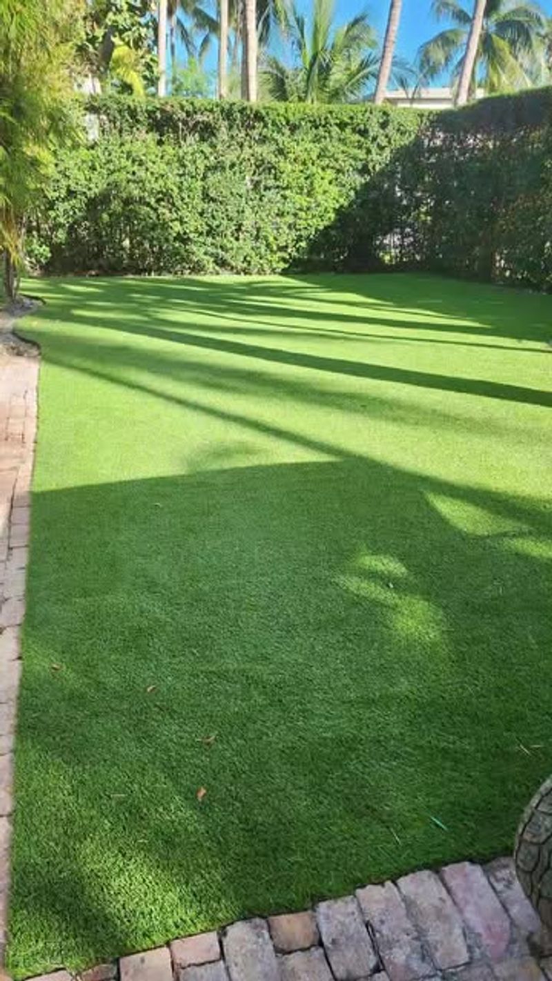 Lush Lawn Perfection