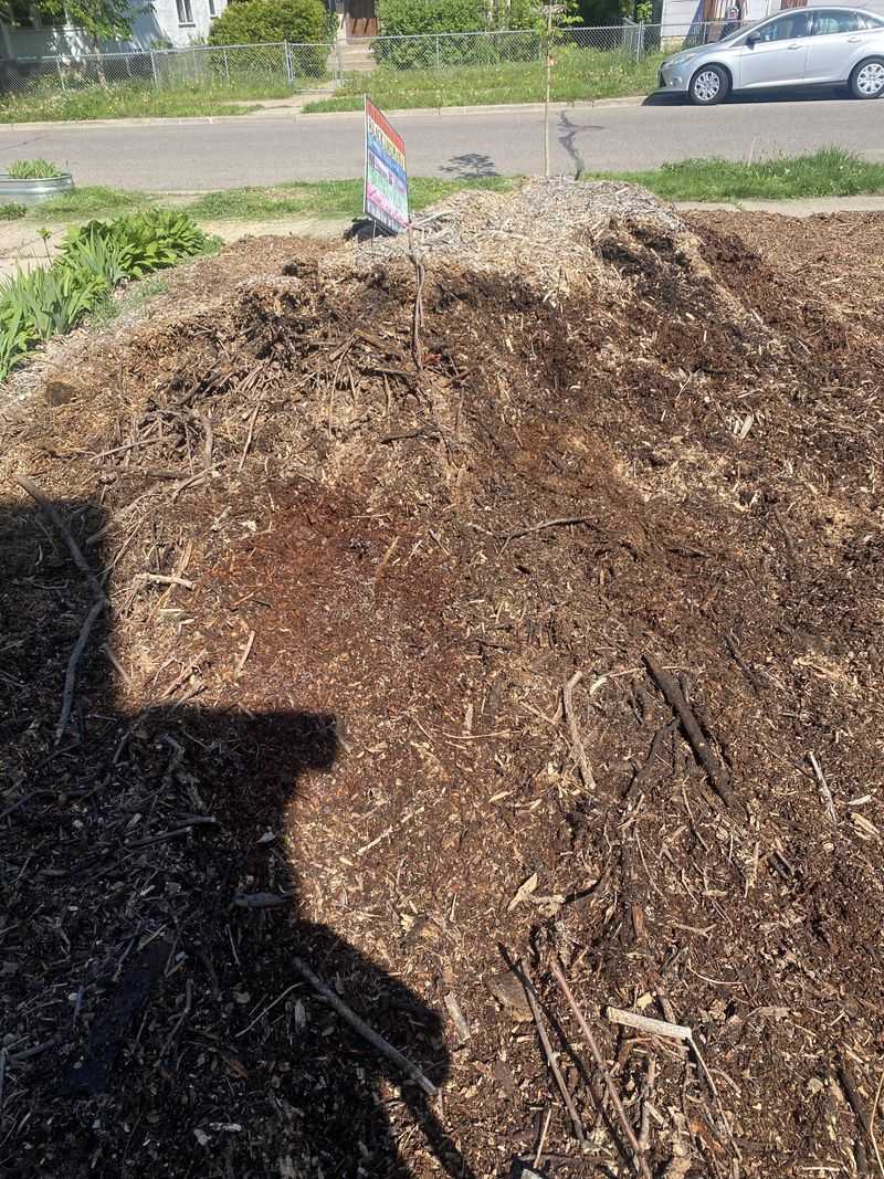 Mulching: The Blanket for Your Plants