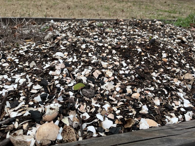 Natural Mulch