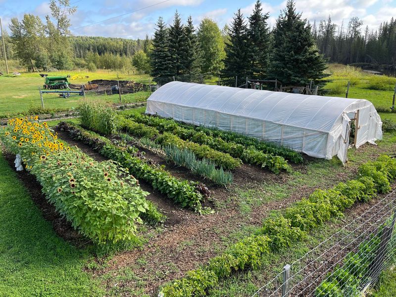 No-Till Gardening