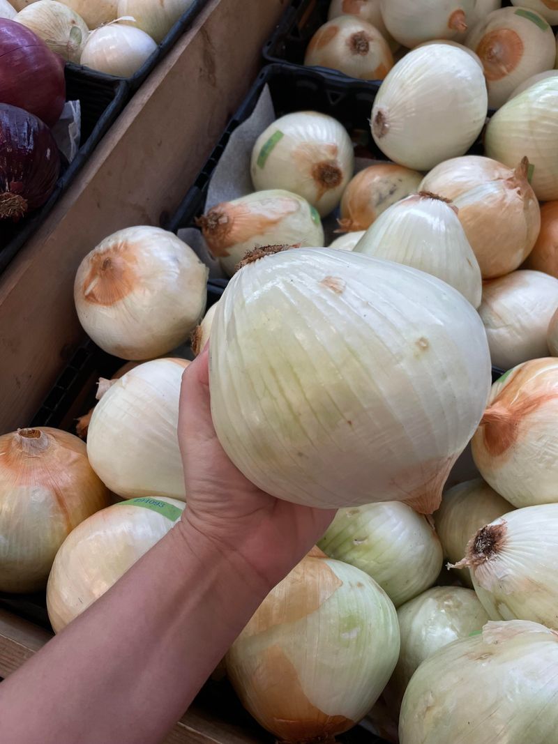 Onion