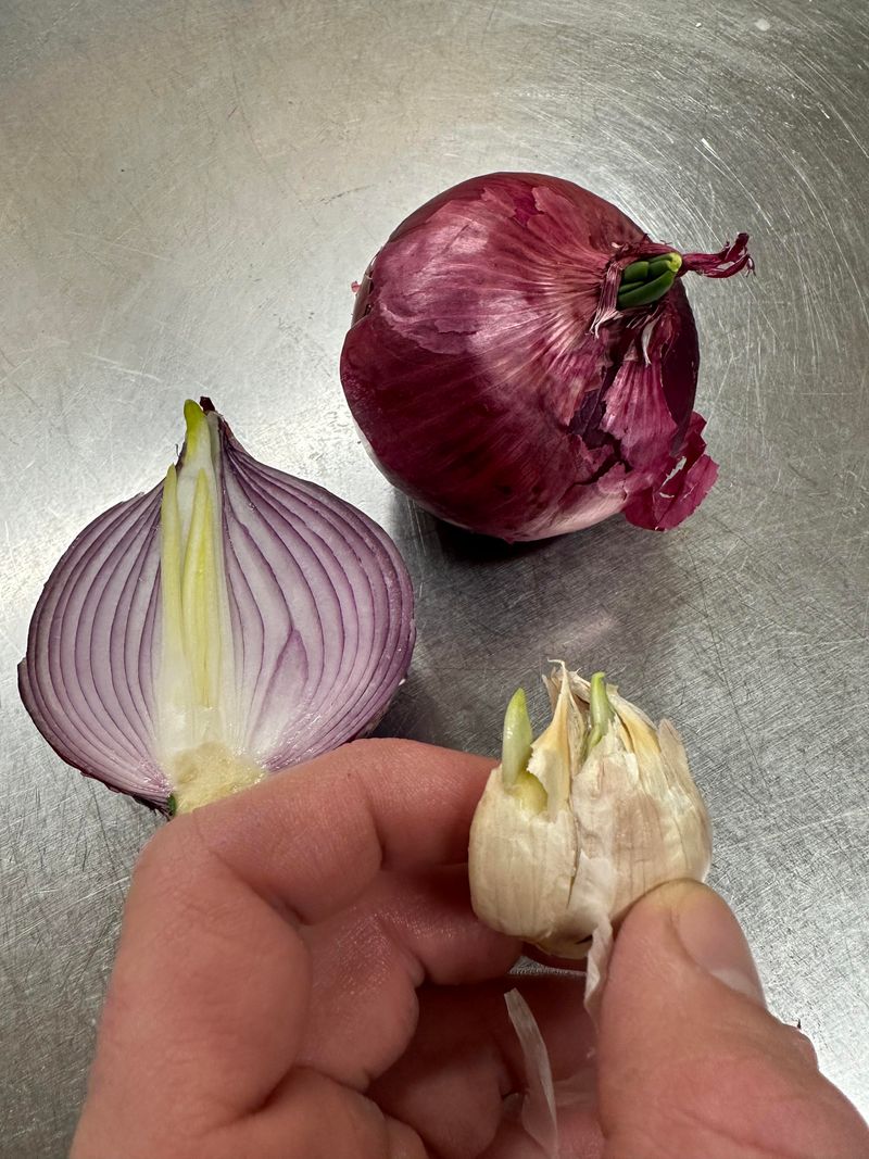 Onions and Garlic