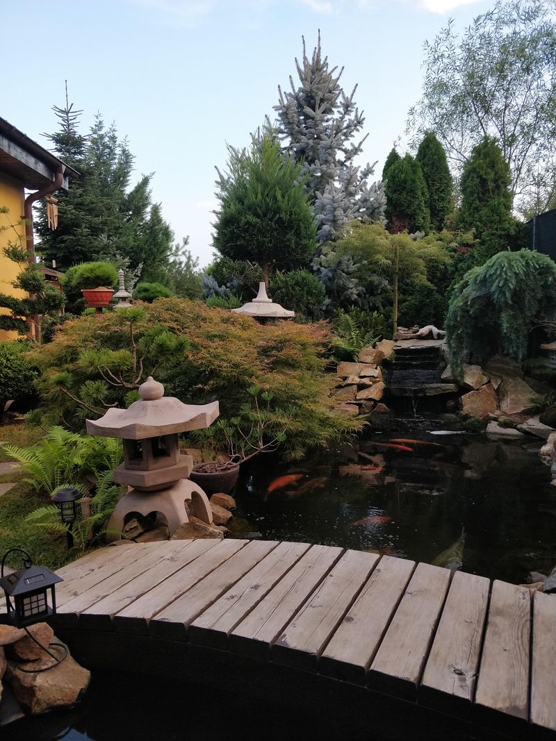 Zen Gardens