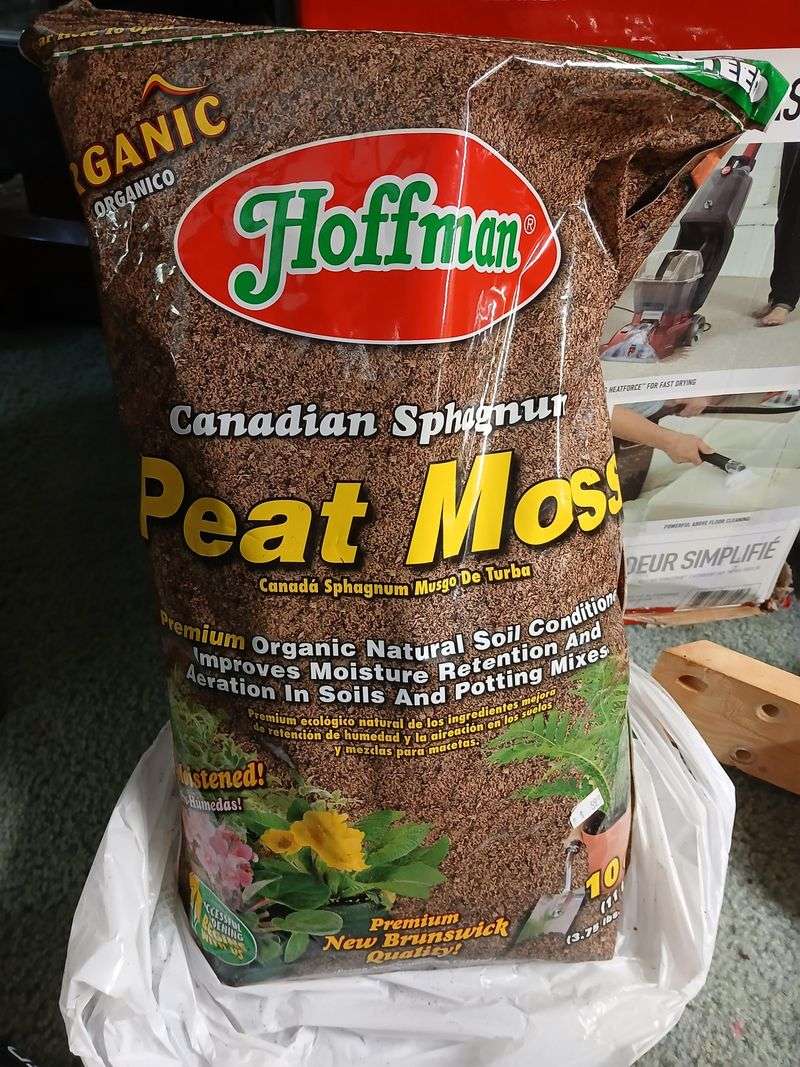 Peat Moss