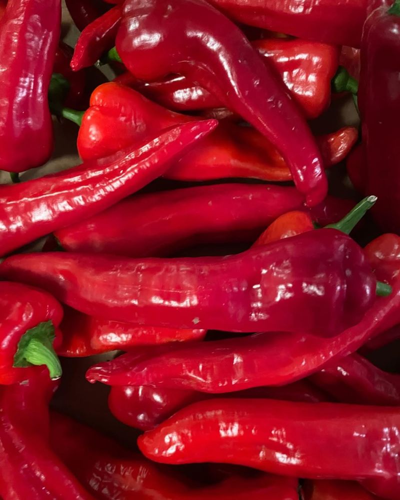 Peppers