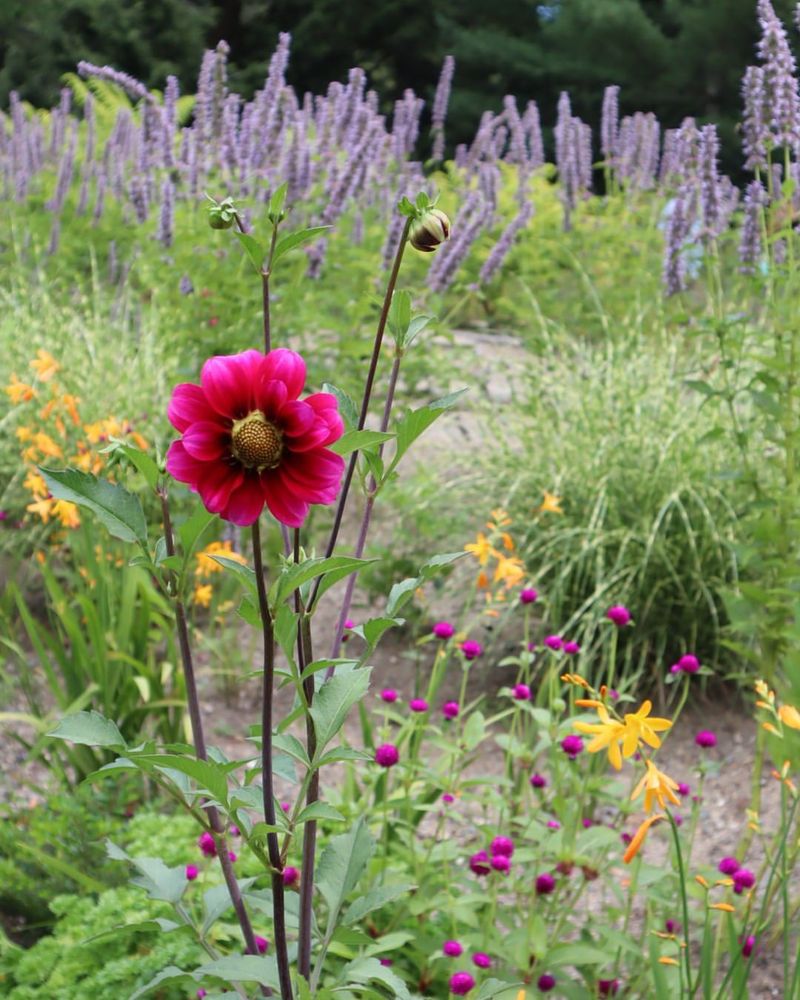 Playful Pollinator Gardens