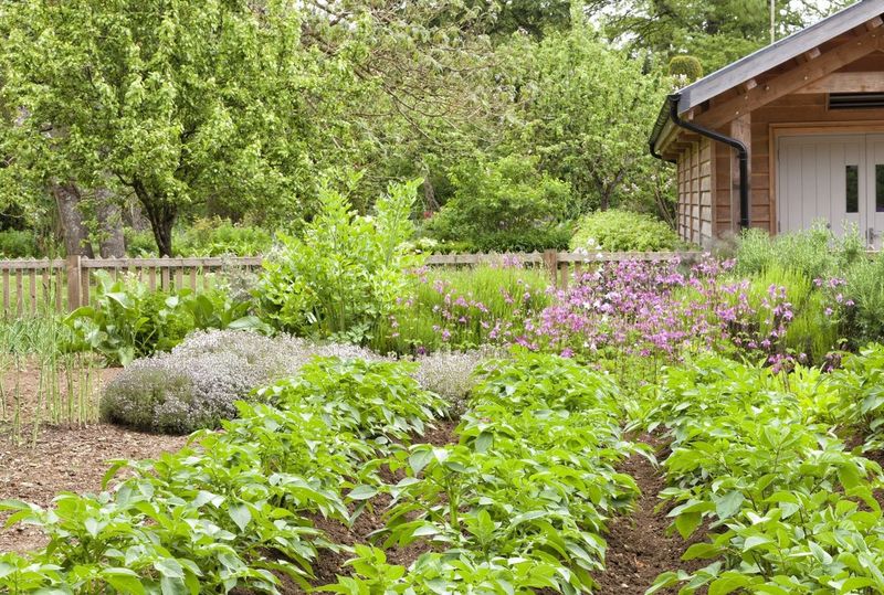 Potatoes and Horseradish