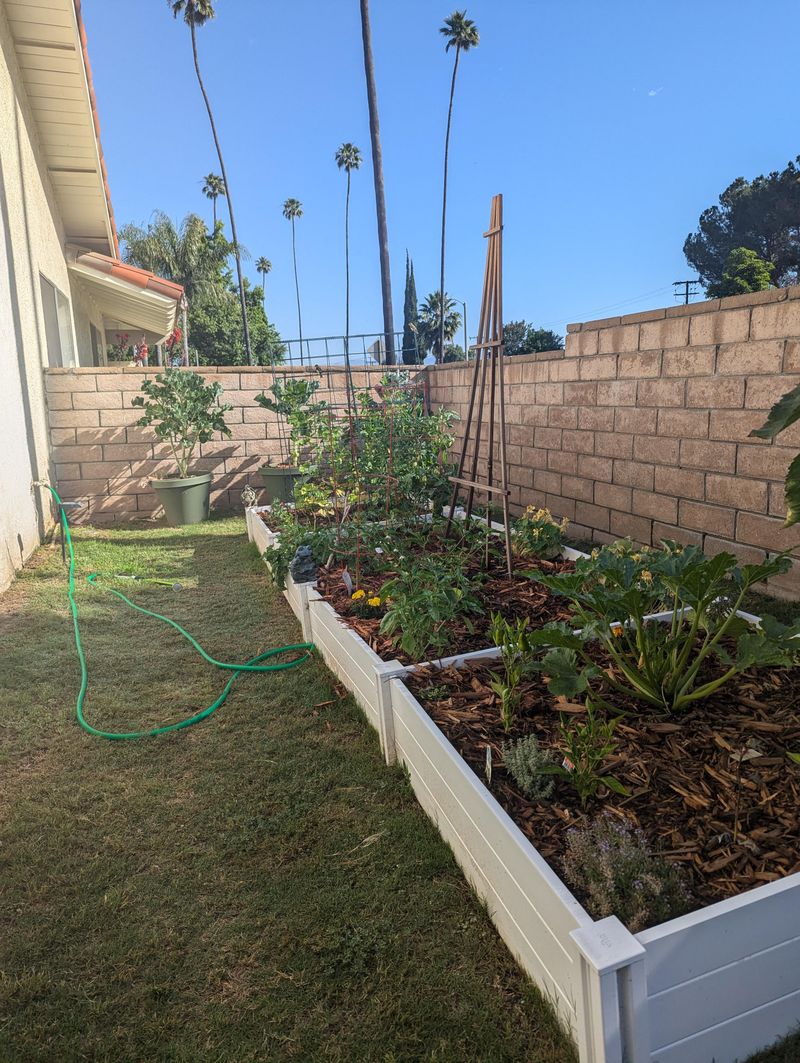 Raised Bed Wisdom