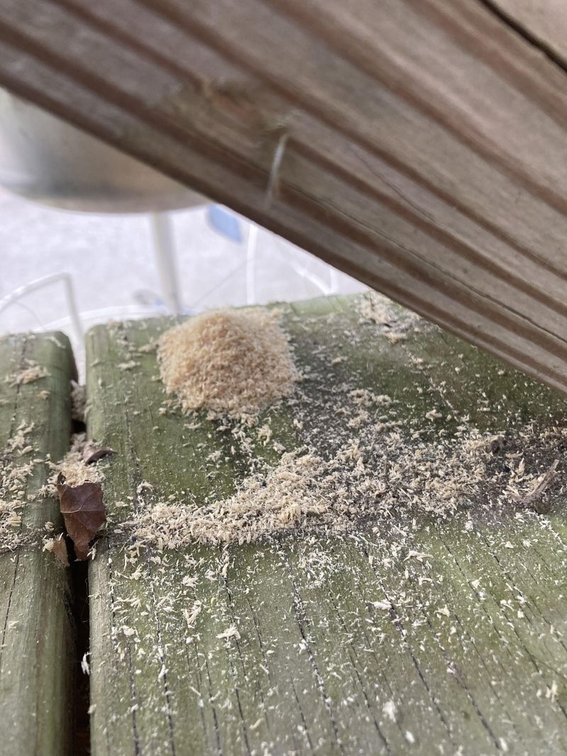 Sawdust from Treated Wood