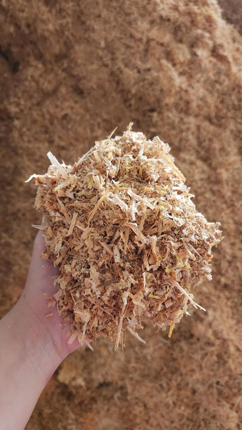 Sawdust