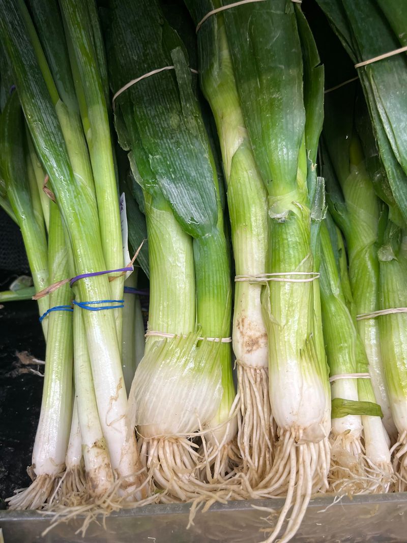 Scallions