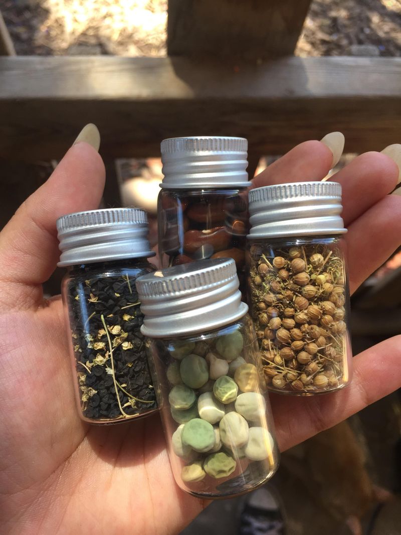 Seed Saving Tradition