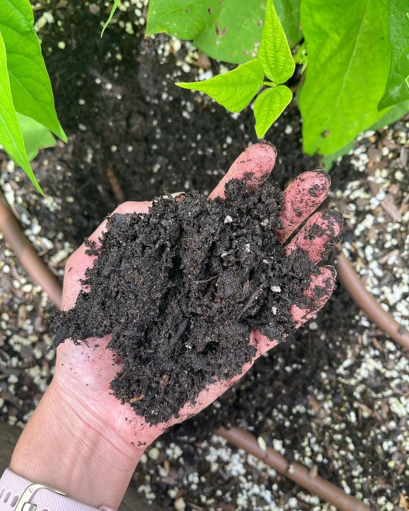 Soil: The Unsung Hero