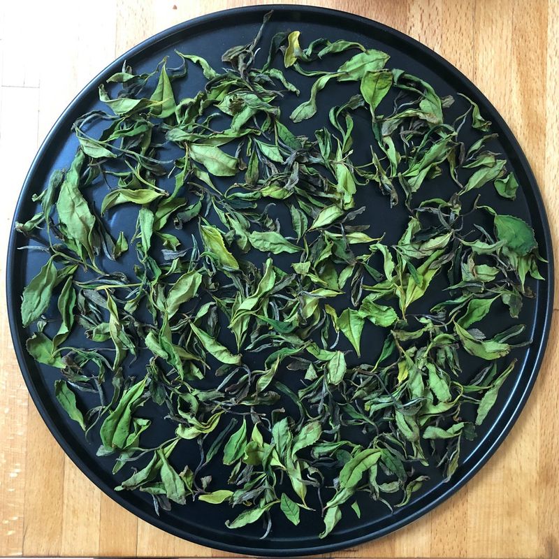 Tea Leaves