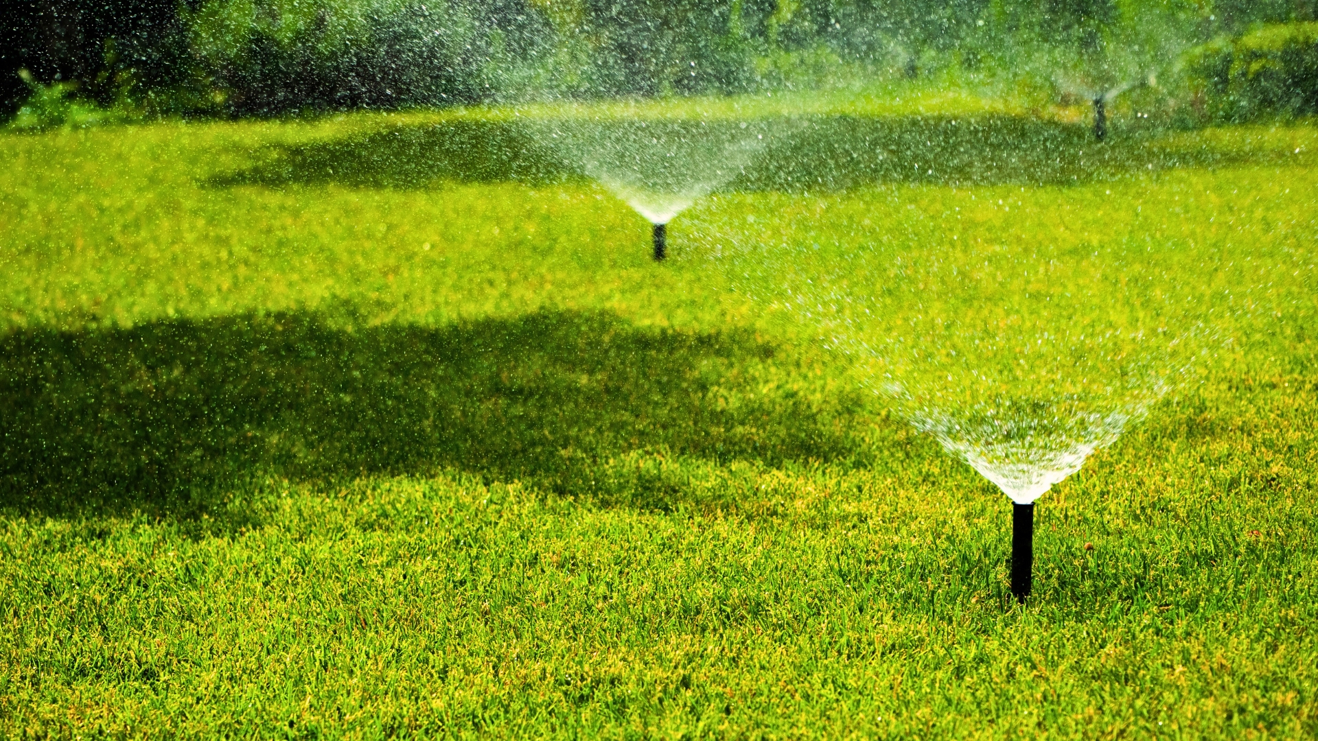 watering lawn