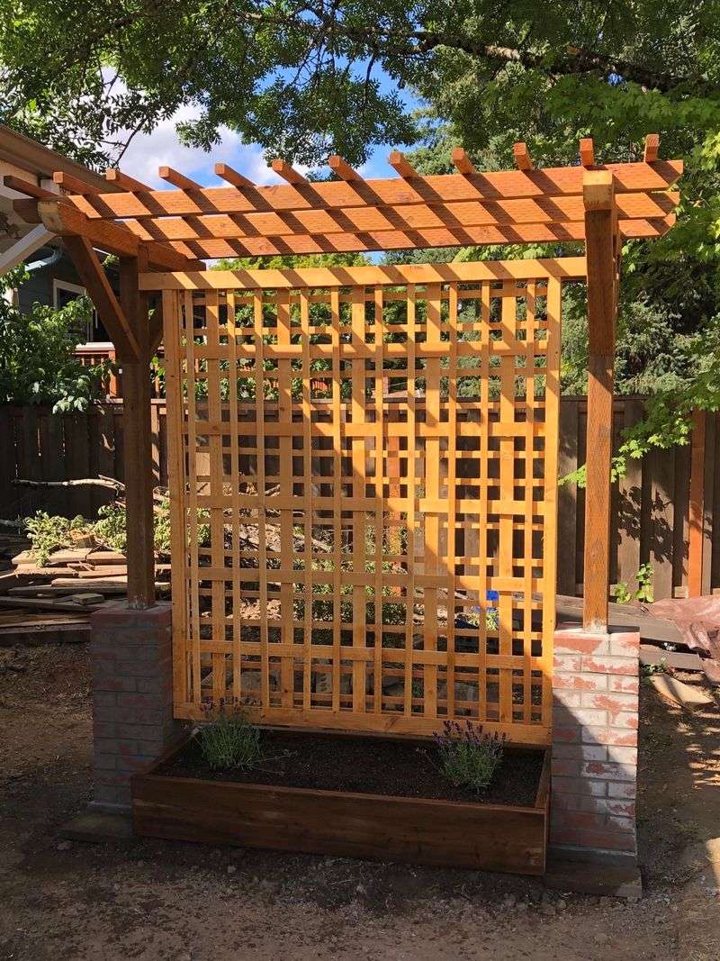 Trellis Triumph