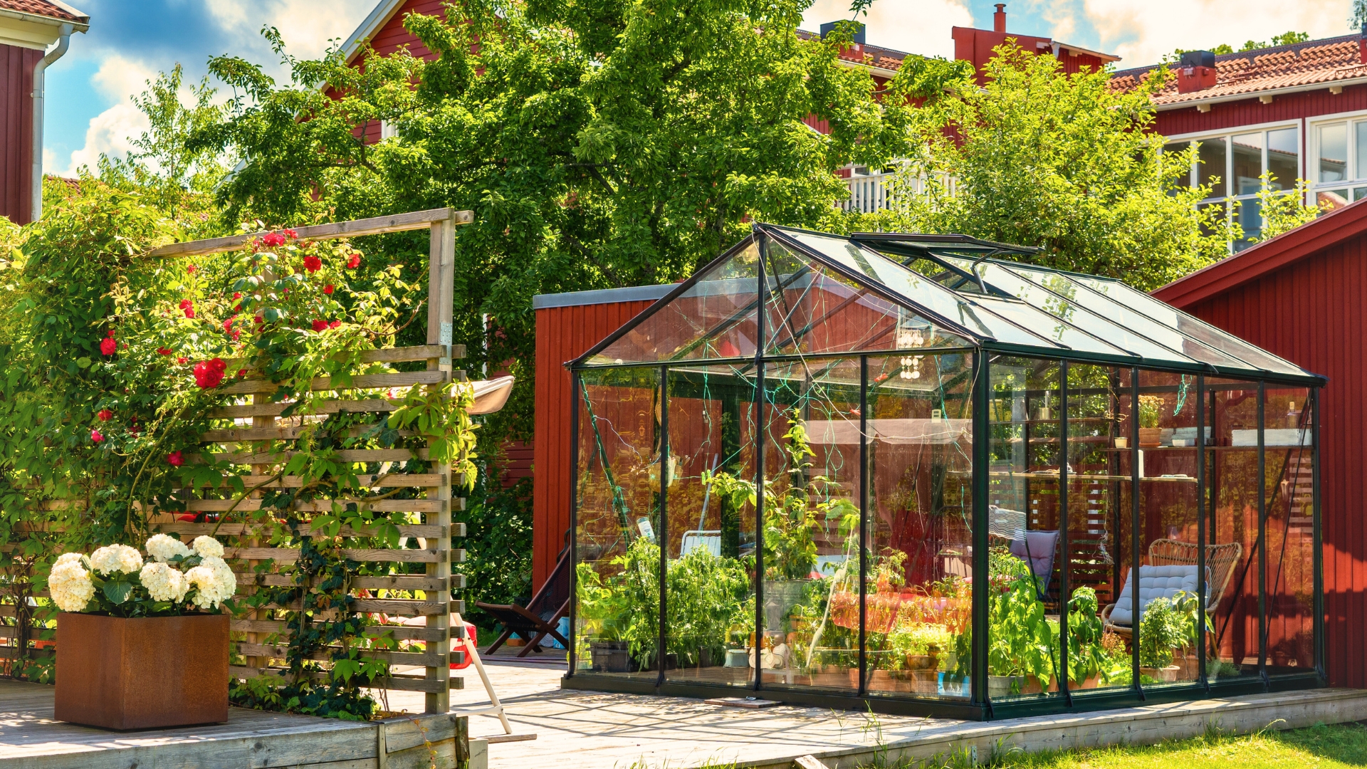 greenhouse in the garden