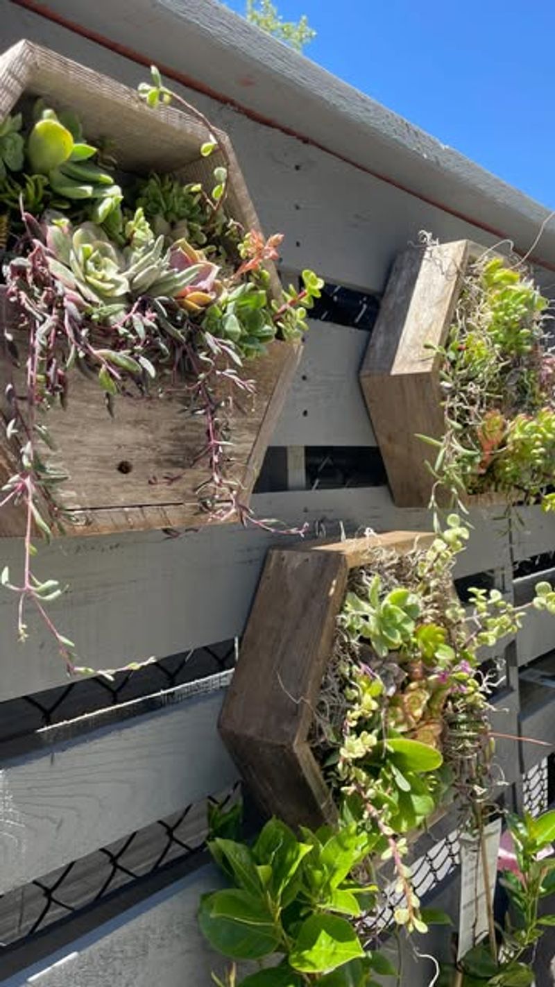 Vertical Garden Delight