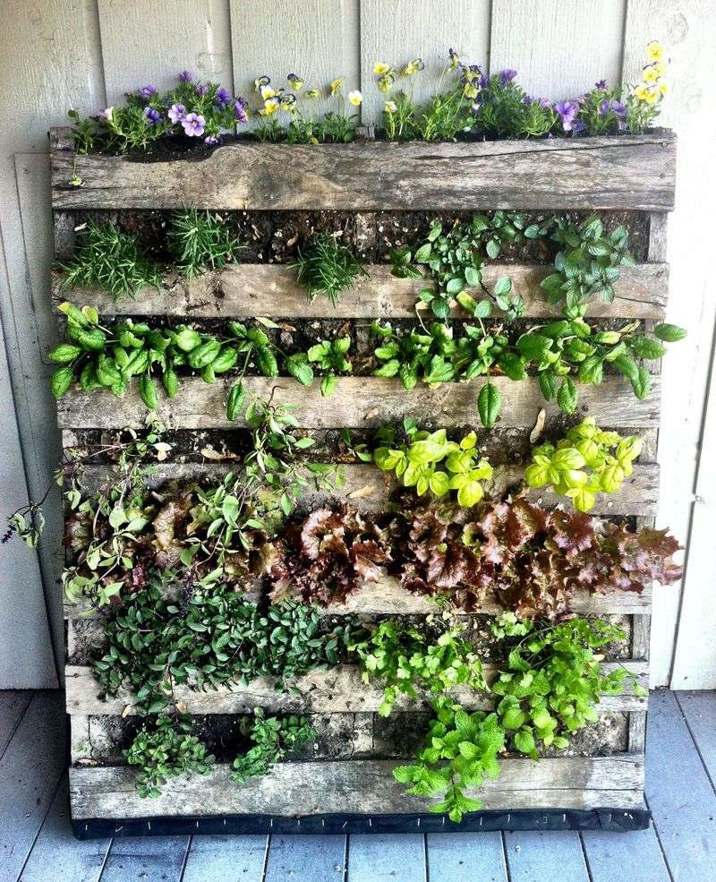 Vertical Gardens