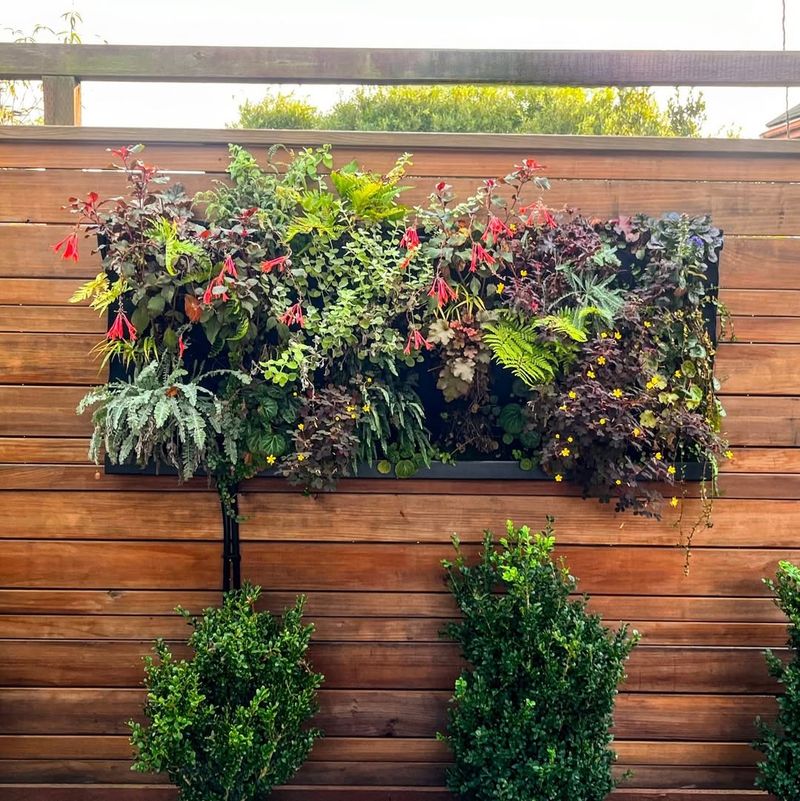 Vertical Wall Garden