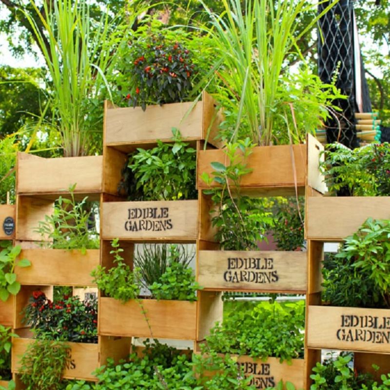 Vibrant Vertical Gardens