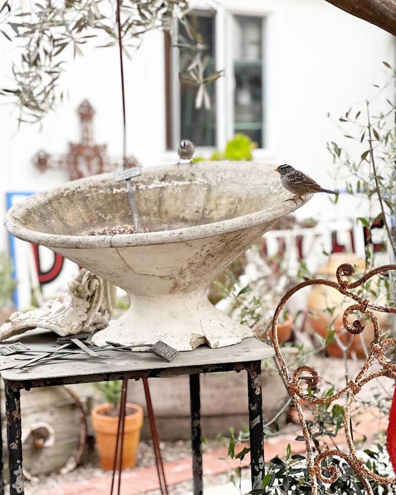 Vintage Bird Bath